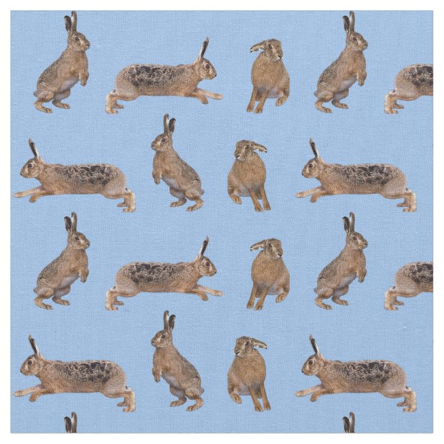 Hare Frenzy Fabric (Light Blue) Stoff (Nahaufnahme)