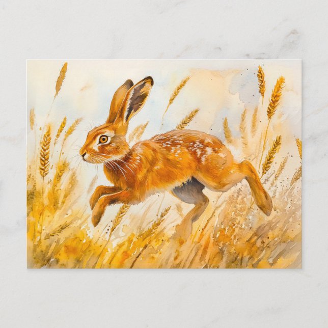 Hare in einem Aquarellbild auf einem Maisfeld Postkarte (Vorderseite)