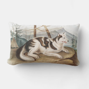 Hare Indian Dog (Canis familiaris) Illustration Lendenkissen