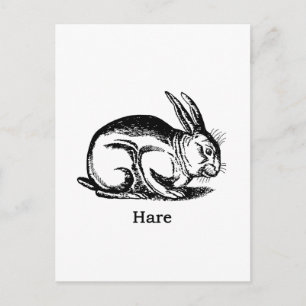 Hare (Kaninchen) Postkarte