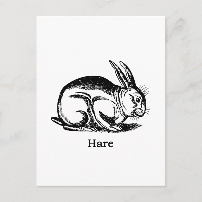 Hare (Kaninchen) Postkarte (Vorderseite)