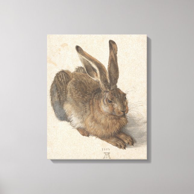 Hare (von Albrecht Dürer) Leinwanddruck (Vorderseite)