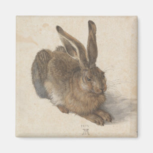 Hare (von Albrecht Dürer) Magnet