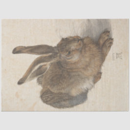 Hare (von Albrecht Dürer) Seidenpapier