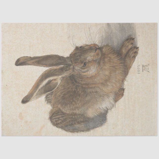 Hare (von Albrecht Dürer) Seidenpapier (Vorderseite)