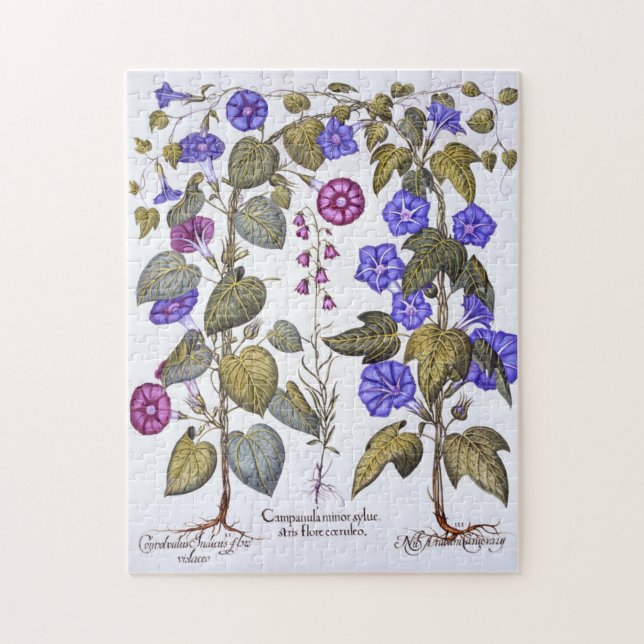 Harebell und Convovulus Puzzle (Vertikal)