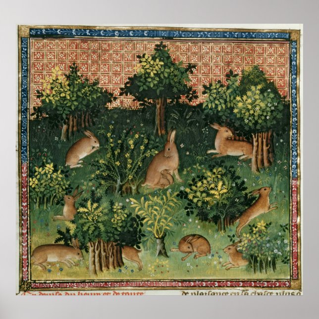 Hares in einem Wald Poster (Vorne)