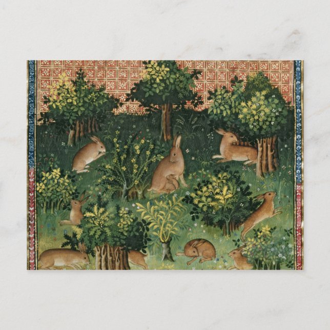 Hares in einem Wald Postkarte (Vorderseite)