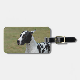 Harlekin-Deutsche Dogge Gepäckanhänger