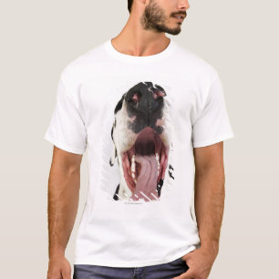 Harlekin-Deutsche Dogge mit offenem Mund, T-Shirt