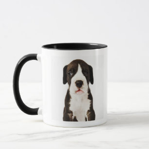 Harlekin-Doggewelpe auf weißem Hintergrund Tasse