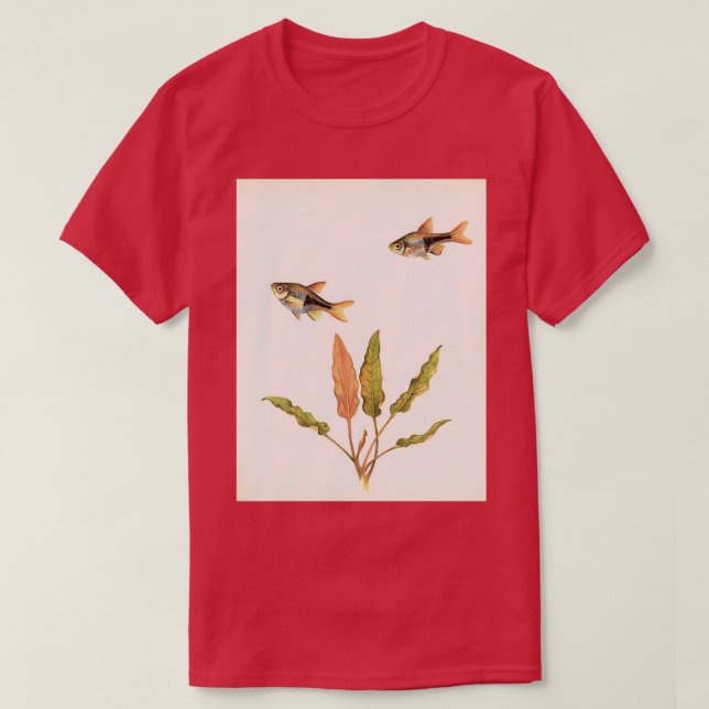 Harlequin Barb Trigonostigma heteromorpha T-Shirt (Design vorne)