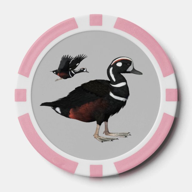 Harlequin Duck Poker Chips (Vorderseite)