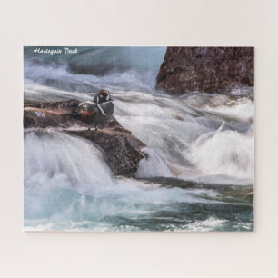 Harlequin Duck Puzzle