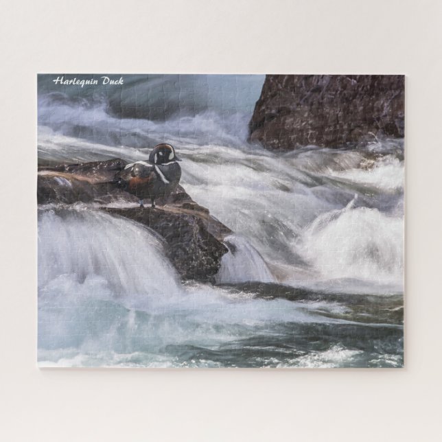Harlequin Duck Puzzle (Horizontal)