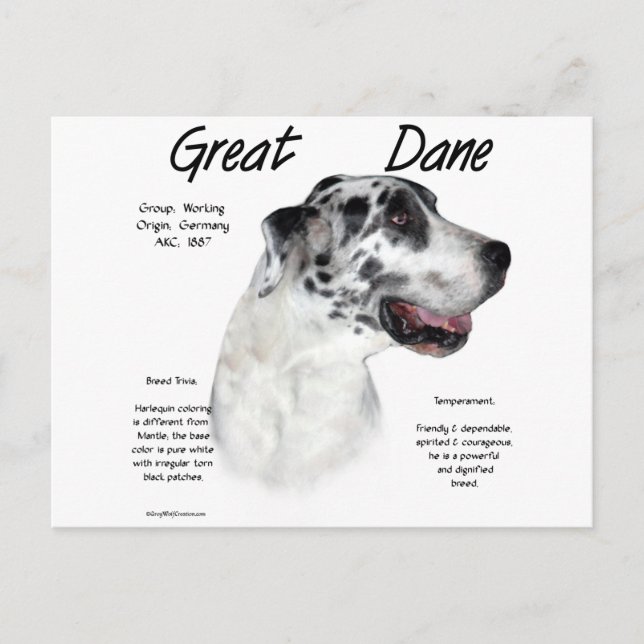 Harlequin Great Dane History Design Postkarte (Vorderseite)