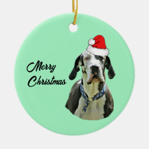 Harlequin Great Dane mit Weihnachtsmannmütze Keramik Ornament