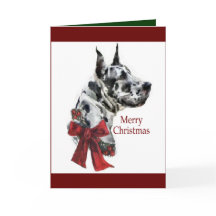 Harlequin Great Dane Weihnachtsgeschenk
