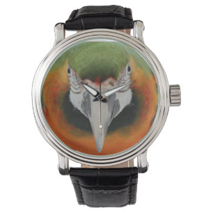 Harlequin macaw watch armbanduhr