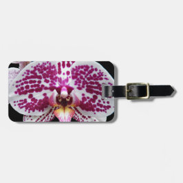 Harlequin Phalaenopsis Orchid Floral Gepäckanhänger