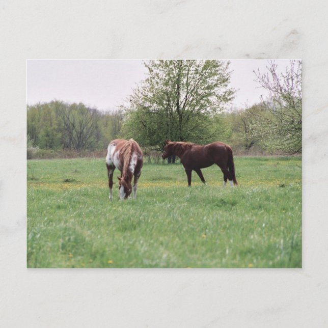 Harley & Lady Postcard Postkarte (Vorderseite)
