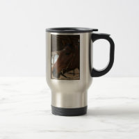 Harley Tasse