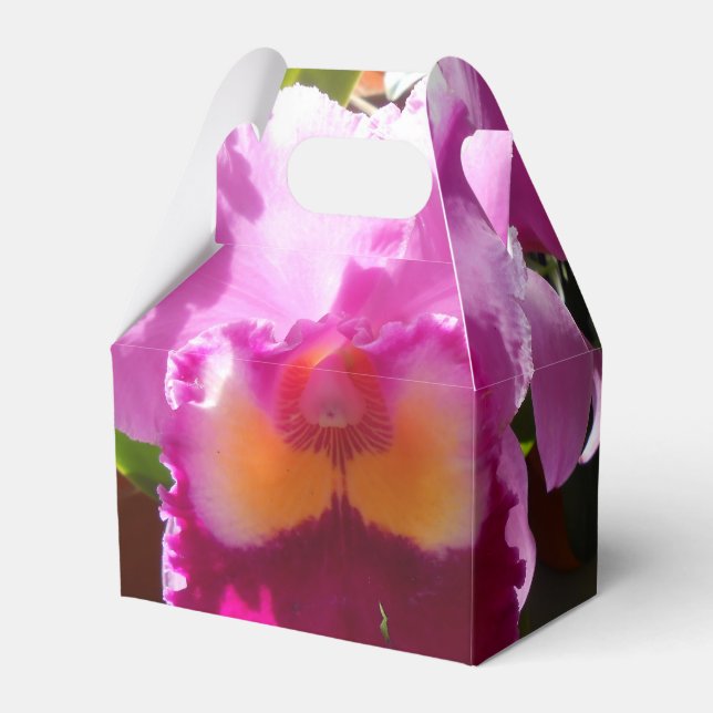 Harlinde Geschenkschachtel (Vorderseite)