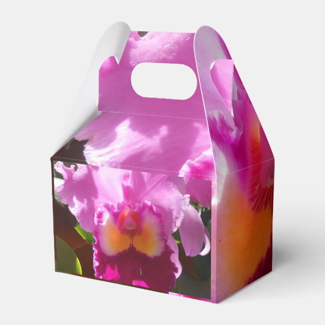 Harlinde Geschenkschachtel (Rückseite)