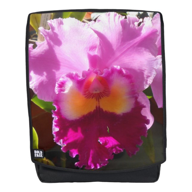 Harlinde Rucksack (Vorderseite)