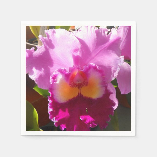 Harlinde Serviette (Vorderseite)