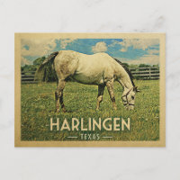 Harlingen Texas Horse Farm - Vintage Travel