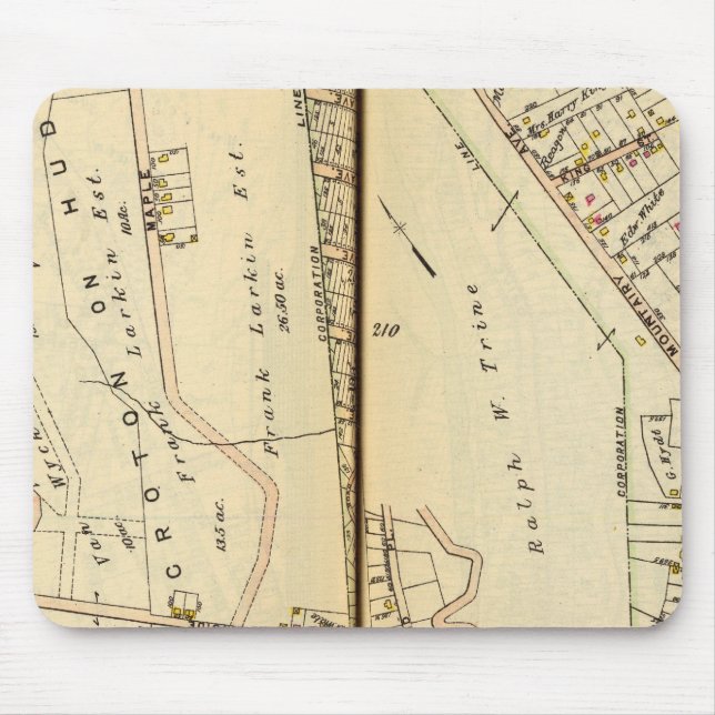 Harmon Park, New York Mousepad (Vorne)