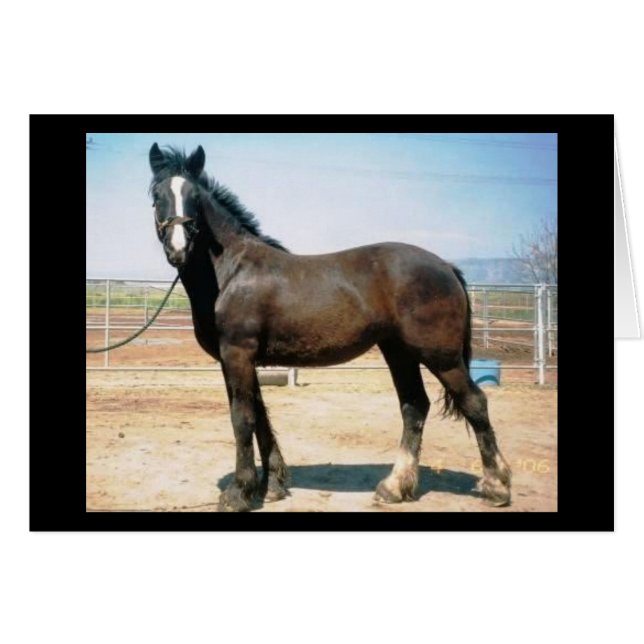 Harmonie (Vorderseite (Horizontal))