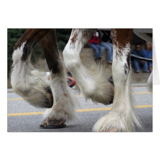 Harmonie (Vorderseite (Horizontal))