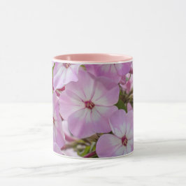 Harmonie des Frühlings: Rosa Phlox Botanische Prin Tasse
