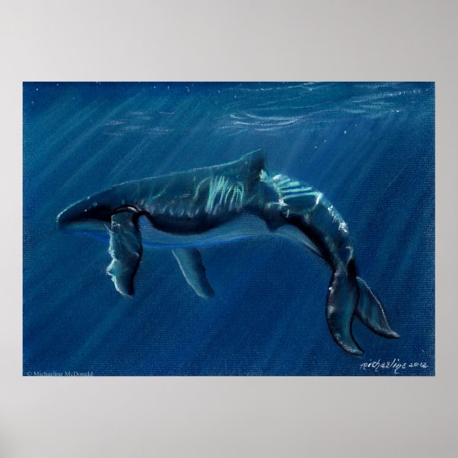 Harmonische Humpback Whale Canvas Print Poster (Vorne)