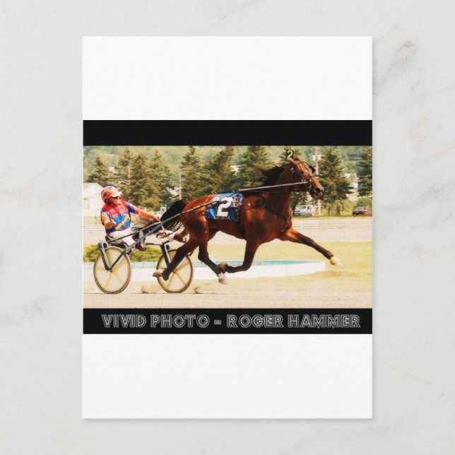 Harness Racing Postkarte (Vorderseite)