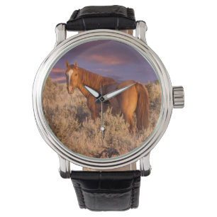 Harney County Wildpferd steht wachsam Armbanduhr