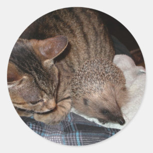 Harold der Igels-Aufkleber Runder Aufkleber