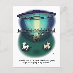 Harold Postcard Postkarte