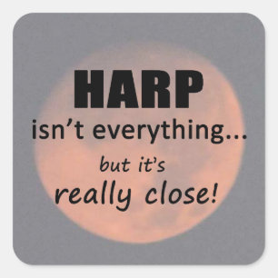 Harp ist nicht alles Square Sticker