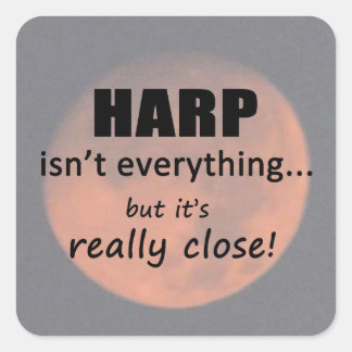 Harp ist nicht alles Square Sticker