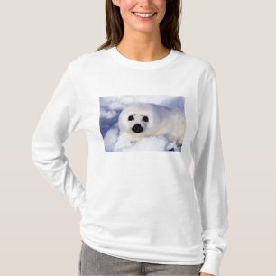Harp Siegel pup ice Gulf of St. Lawrence, T-Shirt
