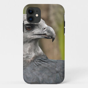 Harpy Eagle 1.JPG Case-Mate iPhone Hülle