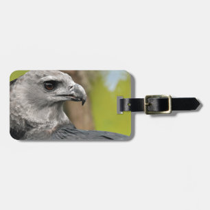 Harpy Eagle 1.JPG Gepäckanhänger