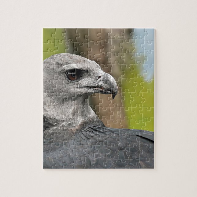 Harpy Eagle 1.JPG Puzzle (Vertikal)