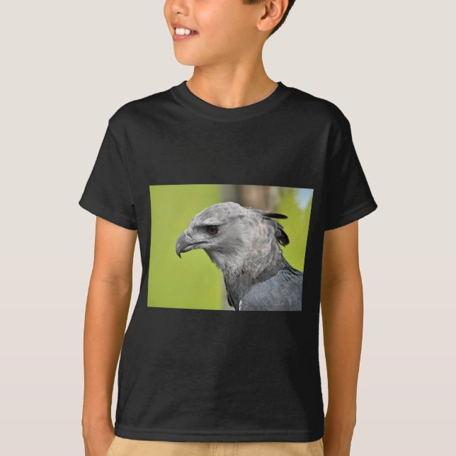 Harpy Eagle 2.JPG T-Shirt (Vorderseite)