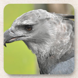 Harpy Eagle 2.JPG Untersetzer