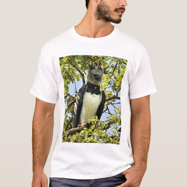 Harpy Eagle, Erwachsener T-Shirt (Vorderseite)