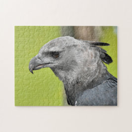 Harpy Eagle Jigsaw Toy Puzzle